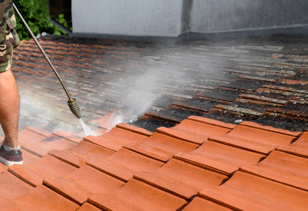 Best Roof Pressure Washing  in Carlinvle, IL