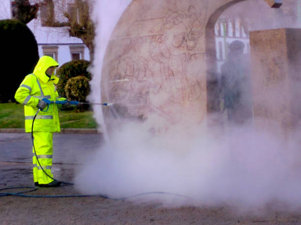 Best Commercial Building Pressure Washing  in Carlinvle, IL